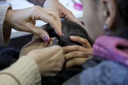 Diecisiete audífonos fueron colocados a niños de la Capital e interior